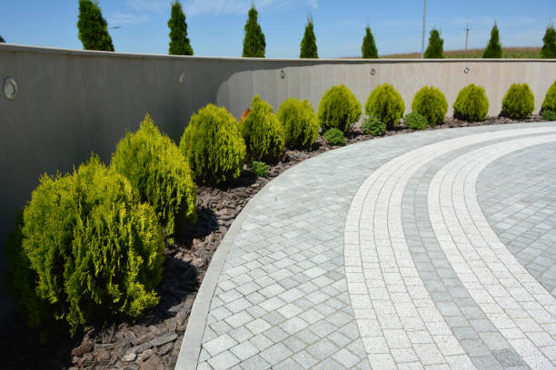 Best Local Driveway Pavers  in Duboistown, PA